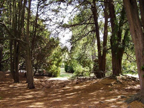 Through the wooded area of Elvaston Castle, Derbyshire.