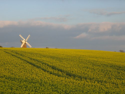 Wilton Windmill, Wilton, Wiltshire. Spring 2007