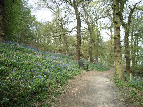 The Outwoods, nr Loughborough, Leicestershire