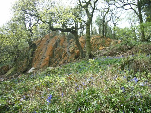 The Outwoods, Nanpantan, Leicestershire