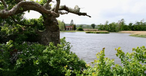 Mill Pond Walk in the grounds of Beaulieu Palace House,Beaulieu,Hampshire