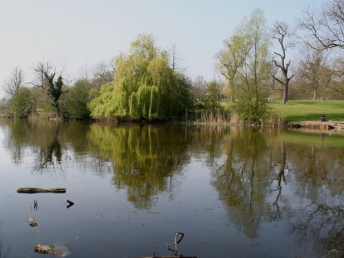 A view accross the lake in Mote Park, Maidstone, Kent