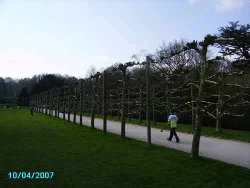 A picture of Rufford Abbey