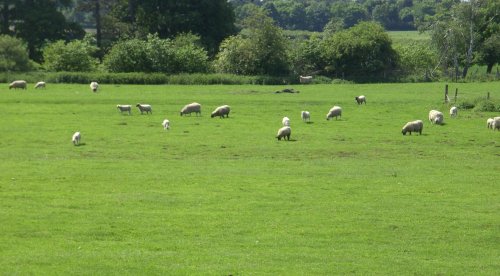 Walesby, Nottinghamshire