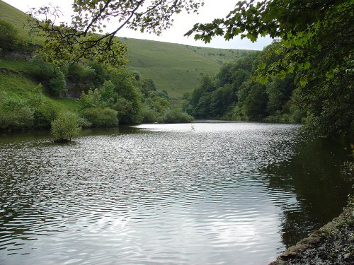 River Wye, Cressbrook, Derbyshire