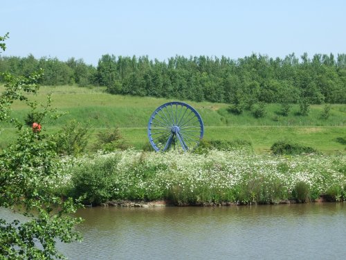 Bagworth Heath