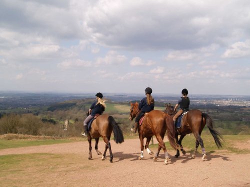 Clent Hills Country Park, Worcestershire