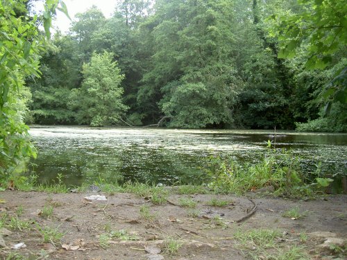 C S Lewis Reserve, Risinghurst, Oxford