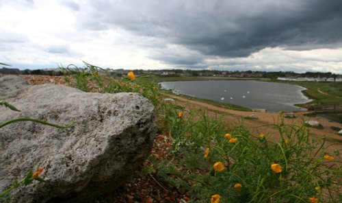 Sturt Pond, Milford on Sea