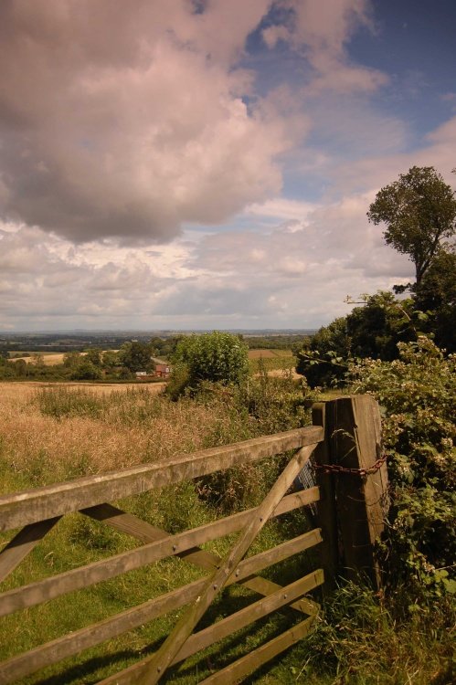 Near Merevale Hall, Atherstone, Warwickshire