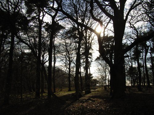 Beacon Hill Country Park, Leicestershire