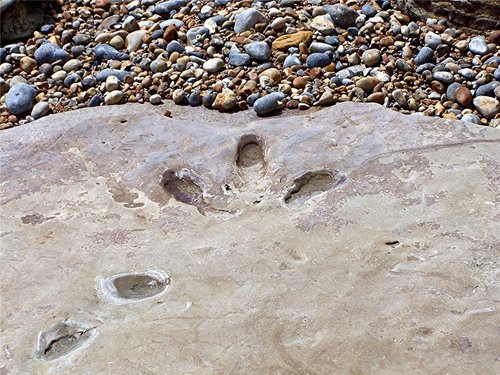 Fairlight Cove, East Sussex