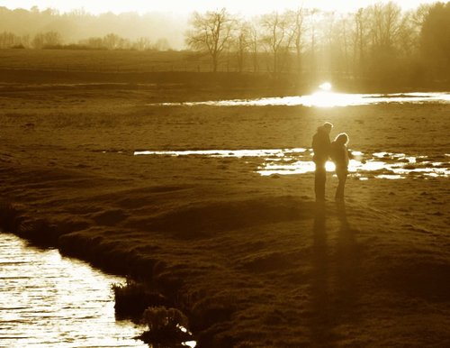 Winter walk by the Oxford Canal, Somerton