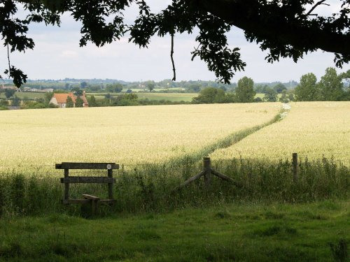 View north from near the churchyard, Steeple Claydon, Bucks.