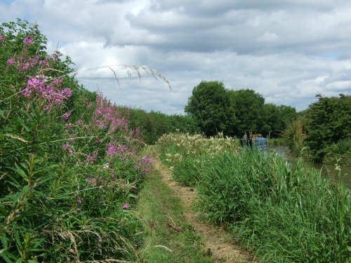 Ashby Canal, Stoke Golding