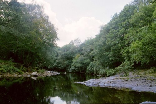 the river Dart