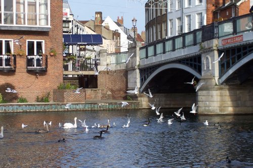 Windsor Bridge, Berkshire