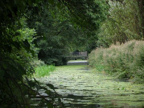 Anglesey Abbey Gardens, Lode, Cambridgeshire