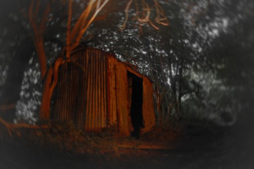 Hut in the woods?, Doward, Herefordshire.