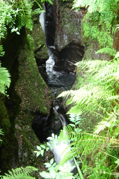 Lydford Gorge