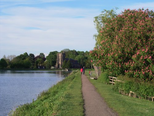 Stowe Pool. Lichfield