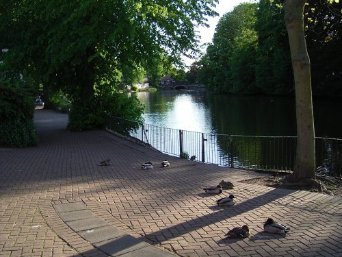 Minster Pool. Lichfield