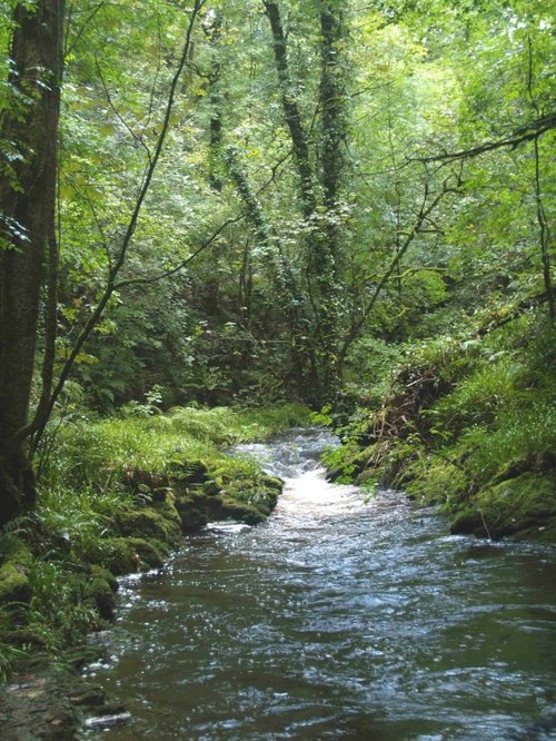 Lydford Gorge, Lydford, Devon