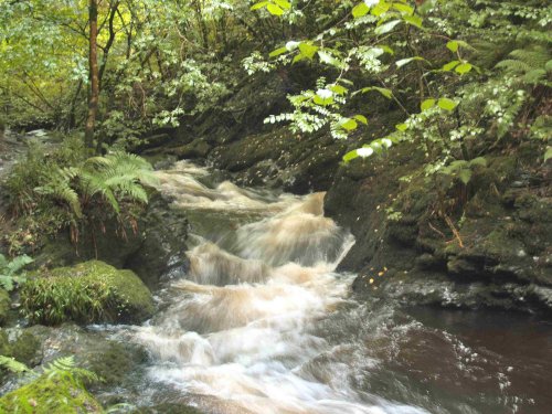 Lydford Gorge, Lydford, Devon