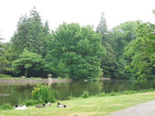 Thorp Perrow Arboretum