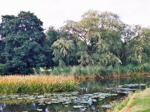 Blackwell, Worcestershire