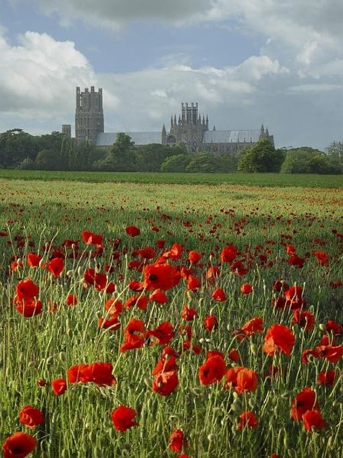 Ely Cathedral across the fields
