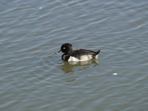 Waters Edge Country Park