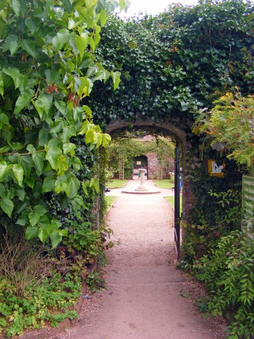 Gardens at Cockington Court, Devon