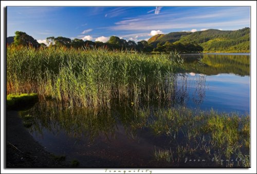 Bassenthwaite lake view