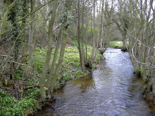 Farndale, Kirkbymoorside in North Yorkshire