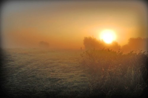 Misty morning