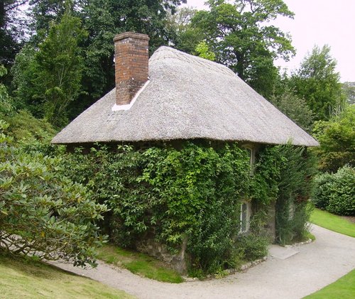 Walk in the Woods - Lanhydrock