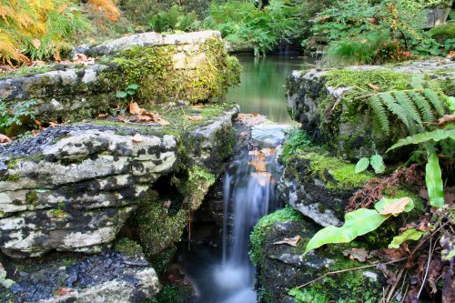 Autumn at Exbury Gardens, Hampshire