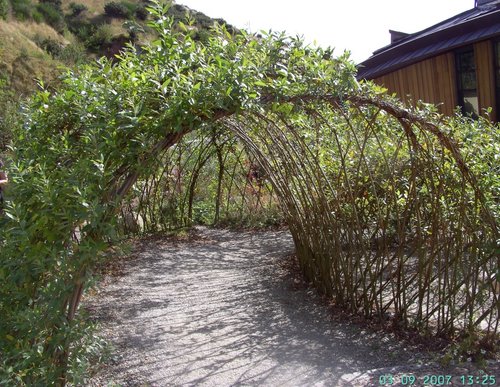 Childrens area, The Eden Project, Bodelva, Cornwall