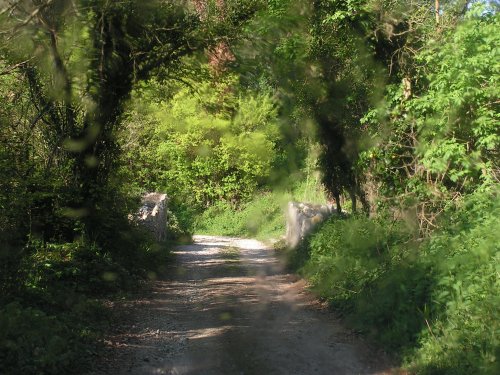 Laneway in Rousdon Manor, Devon