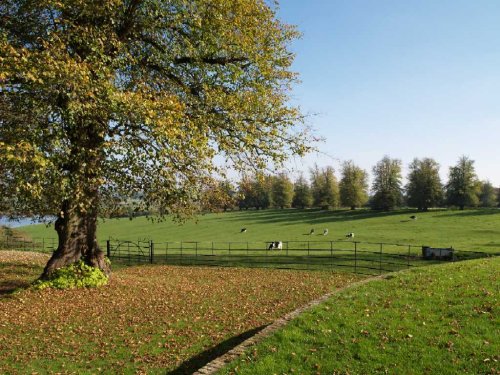 Grounds of Chilton House, Chilton, Buckinghamshire