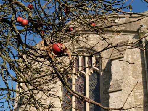 The church of St Mary the Virgin, Chilton, Buckinghamshire