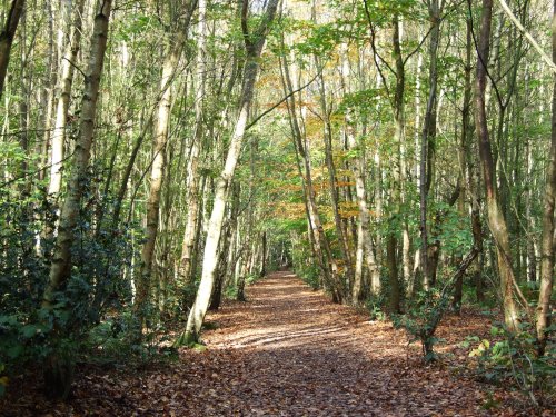 The Outwoods, Nanpantan, Leicestershire