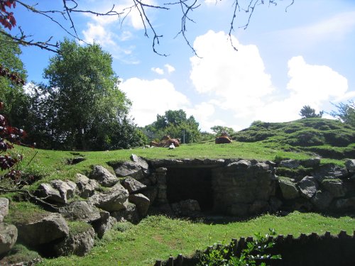 Newquay Zoo, Cornwall