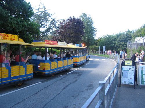 Newquay Zoo, Cornwall