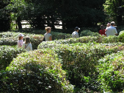 The Hedge Maze at Newquay Zoo, Cornwall