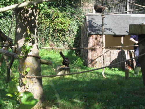 Newquay Zoo, Cornwall