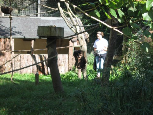 Newquay Zoo, Cornwall