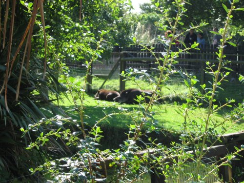 Newquay Zoo, Cornwall