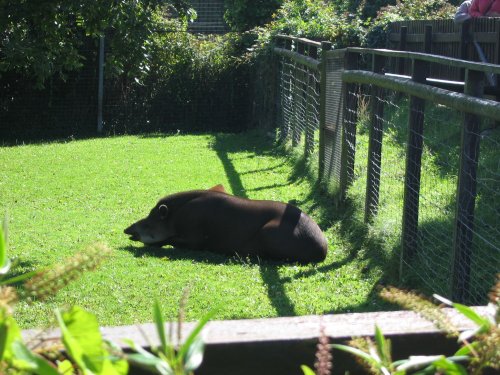 Newquay Zoo, Cornwall